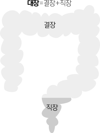 대장 이미지